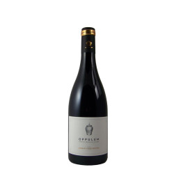 ADV - Oppulum 2021 - Côtes du Roussillon Villages