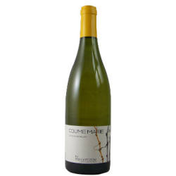 La Préceptorie - Coume Marie 2024 - AOP Côtes du Roussillon Blanc