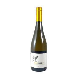 Mas Janeil - Traou de l'Ouille Blanc 2018 - AOP Côtes du Roussillon