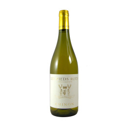 Château de Coulaine - Pied Rotis blanc 2023 - AOP Chinon