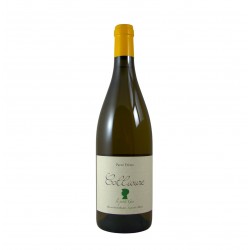 Parcé frères- Le Petit Gus blanc 2025 - AOP Collioure