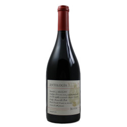 Rutini Wines - Antologia XLIII - Pinot Noir 2013 - Argentine